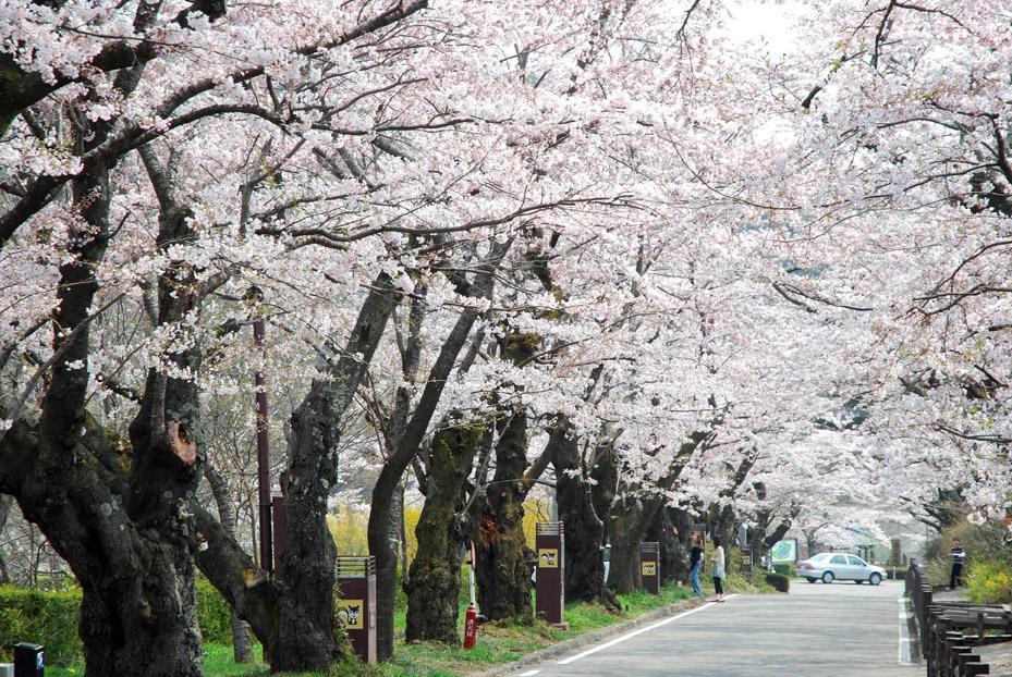 Kunugidaira Hotel Fukushima  Esterno foto