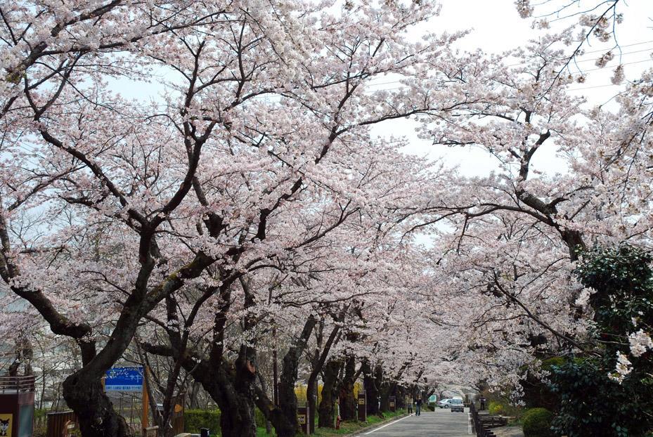 Kunugidaira Hotel Fukushima  Esterno foto